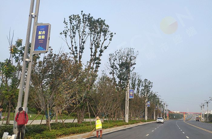 LED燈桿屏,燈桿屏 LED燈桿屏,燈桿屏